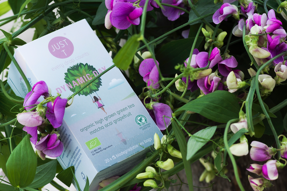 Box mit Teeverpackung "Dynamic Day" umgeben von violett-weißen Blumen vor grünem Hintergrund.